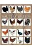 Concise Encyclopedia of Poultry Breeds
