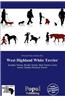 West Highland White Terrier