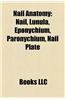 Nail Anatomy: Nail, Lunula, Eponychium, Paronychium, Nail Plate