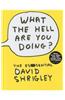 What the Hell Are You Doing?: The Essential David Shrigley
