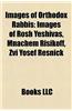 Images of Orthodox Rabbis Images of Orthodox Rabbis: Images of Rosh Yeshivas, Mnachem Risikoff, Zvi Yosef Resnickimages of Rosh Yeshivas, Mnachem Risi