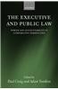 The Executive and Public Law: Power and Accountability in Comparative Perspective