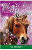 Magic Ponies, Books 1-3