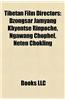 Tibetan Film Directors: Dzongsar Jamyang Khyentse Rinpoche, Ngawang Chophel, Neten Chokling