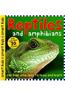 Reptiles and Amphibians