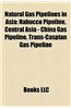 Natural Gas Pipelines in Asia: Natural Gas Pipelines in Afghanistan, Natural Gas Pipelines in China, Natural Gas Pipelines in Turkmenistan
