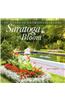 Saratoga in Bloom: 150 Years of Glorious Gardens