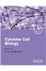 Cytokine Cell Biology: A Practical Approach