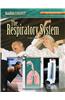 The Respiratory System