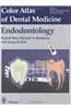 Color Atlas of Dental Medicine: Endodontology
