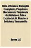 Flora of Oaxaca: Trees of Oaxaca, Malpighia Emarginata, Pinguicula Moranensis, Pecan, Pinguicula Orchidioides, Liquidambar Styraciflua