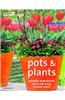 Pots And Plants