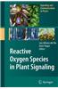 Reactive Oxygen Species in Plant Signaling