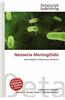Neisseria Meningitidis