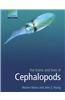 The Brains and Lives of Cephalopods