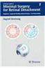 Practical Guide to Minimal Surgery for Retinal Detachment