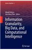 Information Granularity, Big Data, and Computational Intelligence