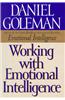 Working with Emotional Intelligence