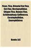 Fleas: Flea, Oriental Rat Flea, Cat Flea, Hectopsyllidae, Chigoe Flea, Human Flea, Echidnophaga Gallinacea, Ceratophyllidae,