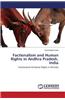 Factionalism and Human Rights in Andhra Pradesh, India
