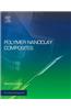 Polymer Nanoclay Composites