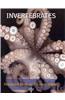 Invertebrates
