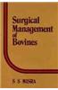 Surgical Management of Bovines