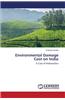 Environmental Damage Cost on India