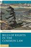 Bills of Rights in the Common Law