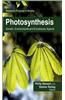 Photosynthesis