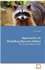 Approaches to Modelling Raccoon Rabies
