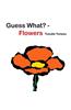Guess What?--Flowers