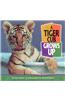 A Tiger Cub Grows Up