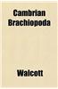 Cambrian Brachiopoda