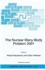 Nuclear Many-body Problem 2001