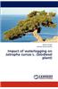 Impact of Waterlogging on Jatropha Curcas L. (Biodiesel Plant)