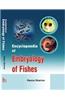 Encyclopaedia Of Embryology Of Fishes