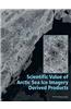 Scientific Value of Arctic Sea Ice Imagery Derived Products