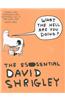 What the Hell Are You Doing?: The Essential David Shrigley