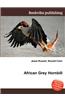 African Grey Hornbill