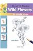 How to Draw Wild Flowers