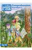 Comprehension: Pupil Book 4
