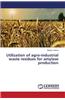 Utilization of Agro-Industrial Waste Residues for Amylase Production