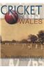 Cricket in Wales
