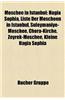 Moschee in Istanbul: Hagia Sophia, Liste Der Moscheen in Istanbul, Sleymaniye-Moschee, Chora-Kirche, Zeyrek-Moschee, Kleine Hagia Sophia
