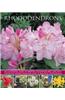 Rhododendrons: An Illustrated Guide to Varieties, Cultivation and Care, with Step-By-Step Instructions and Over 135 Beautiful Photogr