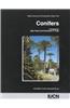 Conifers