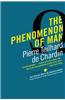 The Phenomenon of Man
