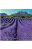 Provence 2015 Calendar