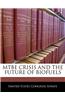 Mtbe Crisis and the Future of Biofuels